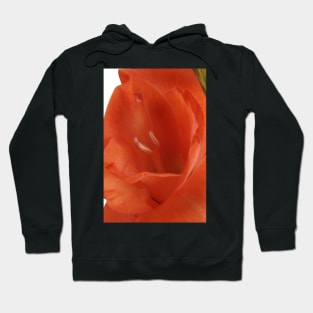 Red Gladioli Macro Hoodie